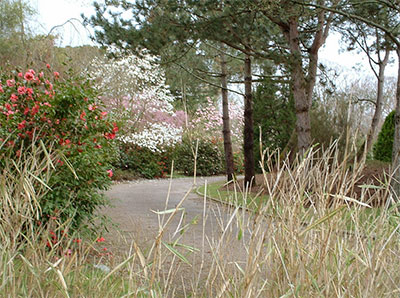 Déménageur Rezé 44400 Loire-Atlantique